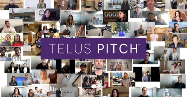 A collage of various entrepreneurs recording their small business pitch to TELUS.